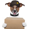 Home Delivery image