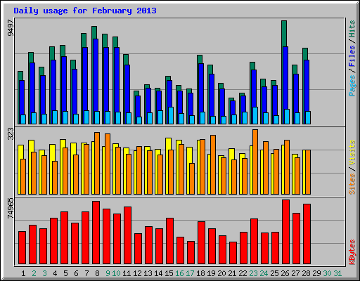 Daily usage for February 2013